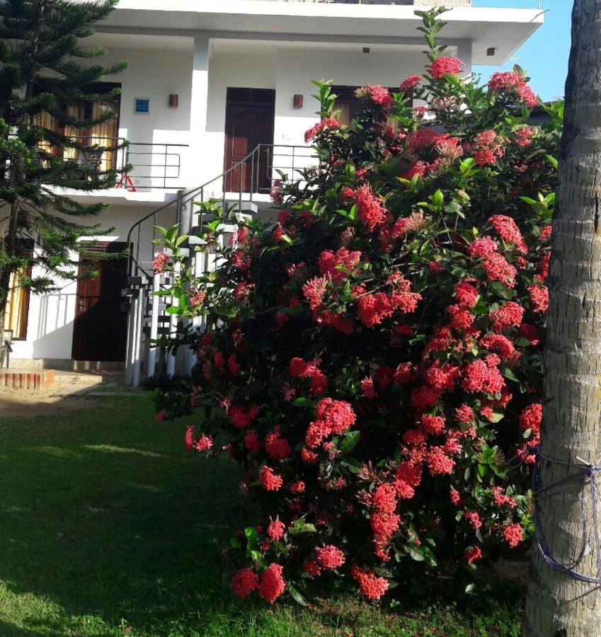Dreamvillage Dodanduwa Bagian luar foto
