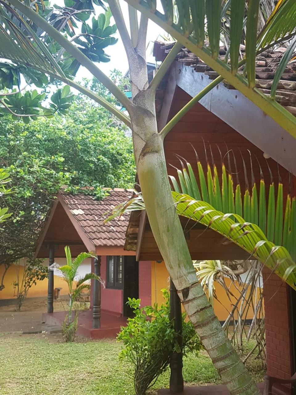Dreamvillage Dodanduwa Bagian luar foto